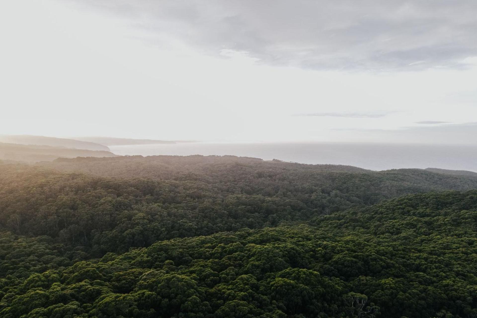 Alkina Lodge Nuru Wattle Hill Dış mekan fotoğraf